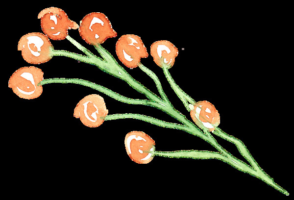 手绘橙色花枝装饰素材