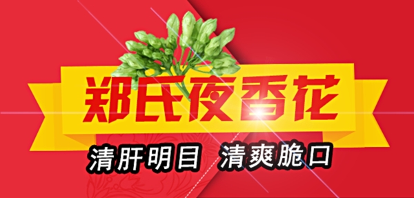 天天信宜美食夜香花banner