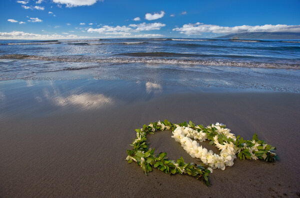 海滩上的爱心花朵图片