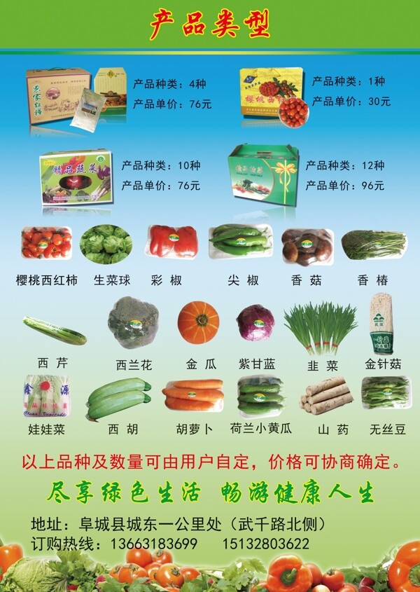 蔬菜产品类型图片