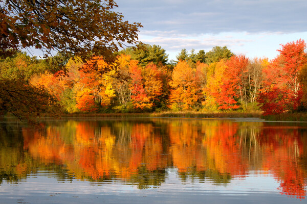 秋季景观摄影图片图片