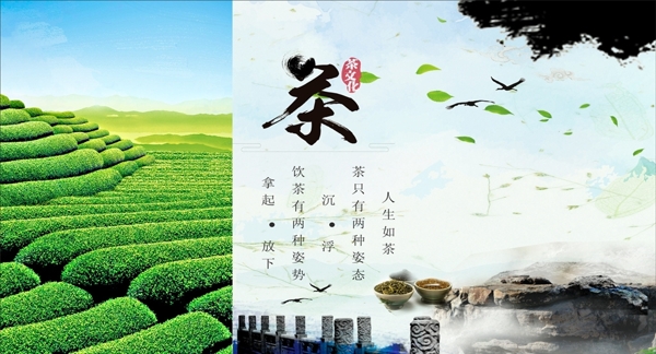 茶叶宣传广告