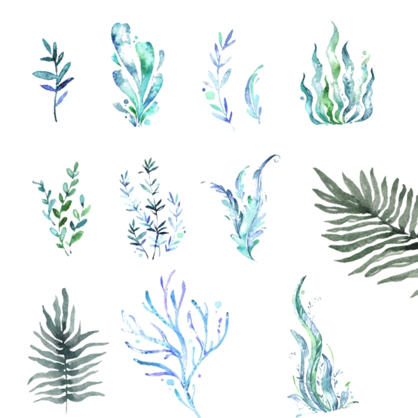 蓝色海草水草植物透明