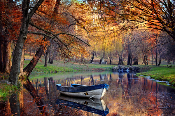 秋天树林小河小船风景