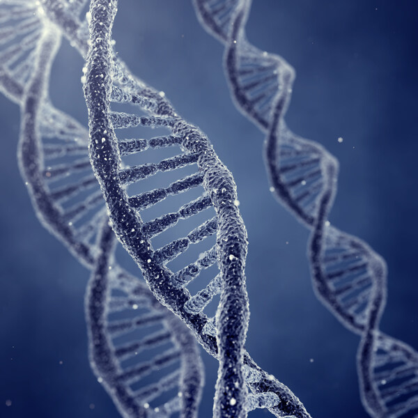DNA双螺旋结构图片