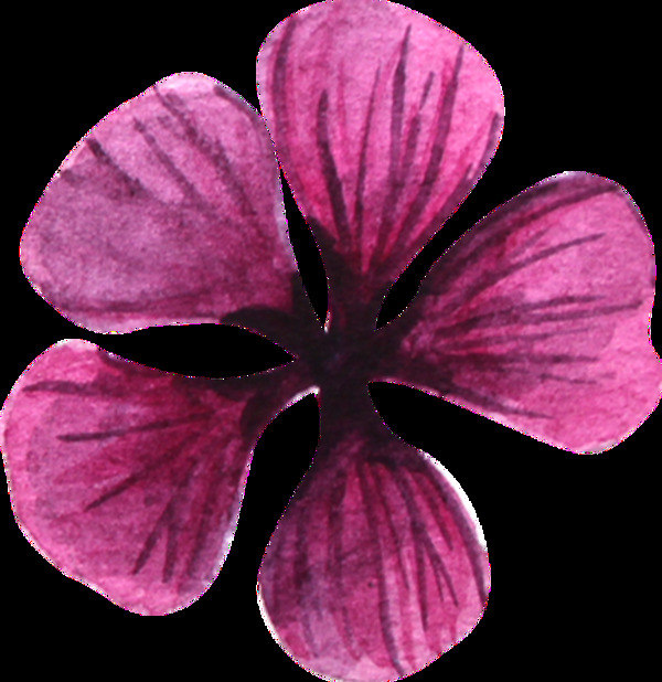 紫色五瓣花透明装饰图案