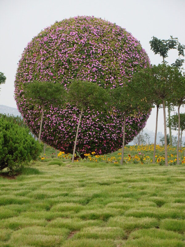 花博会造型球