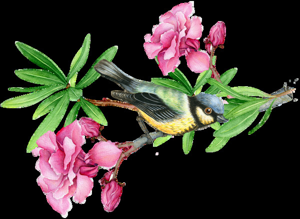 花卉与小鸟卡通透明素材