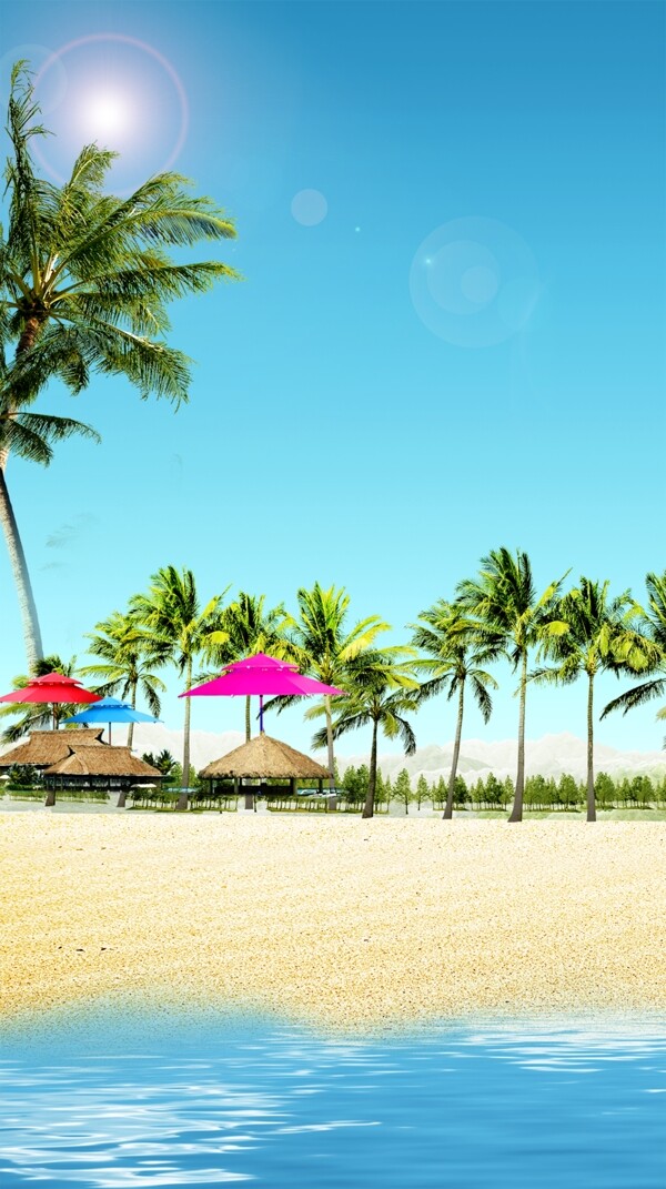海边椰子树风景沙滩背景