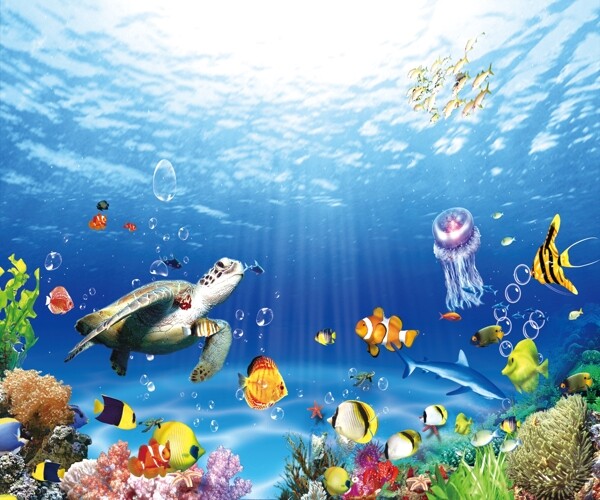 珊瑚礁大海海底世界海水