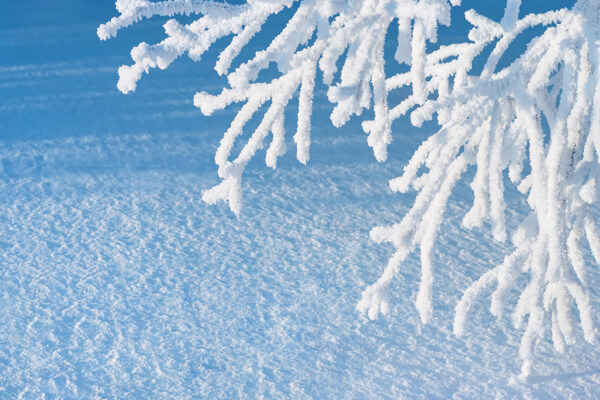 冬季风光摄影图片