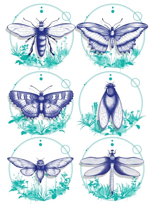 立夏昆虫线描卡通手绘动物装饰素材蝴蝶蜻蜓