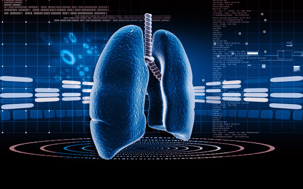 肺电脑图图片