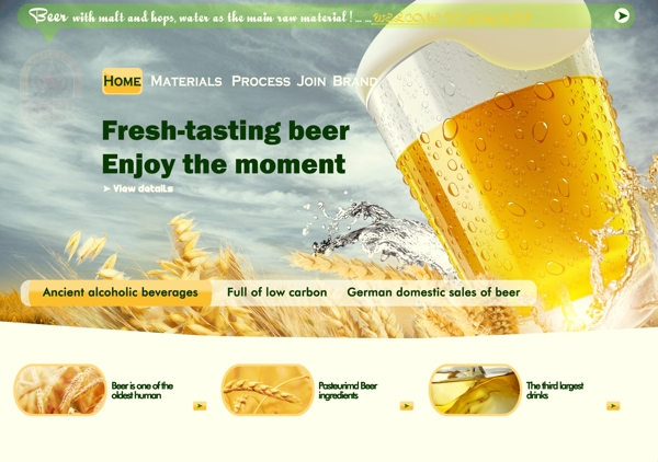 啤酒首页网页设计