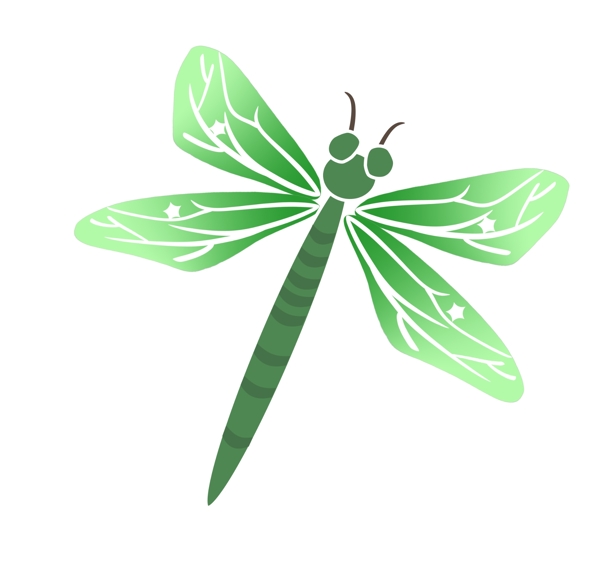 绿色蜻蜓装饰
