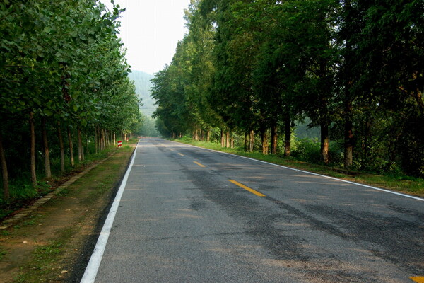 乡村公路图片