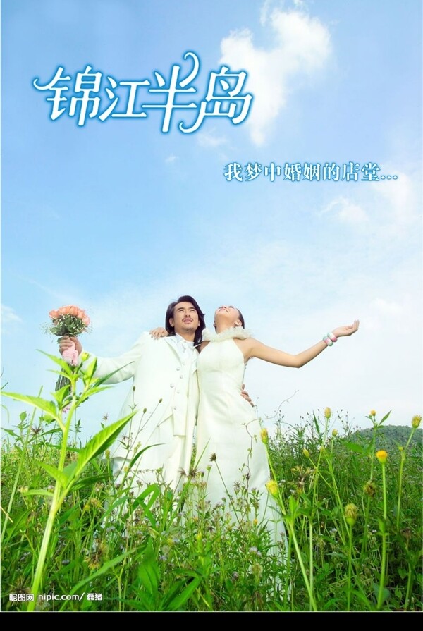锦江半岛婚纱影楼广告设计图片