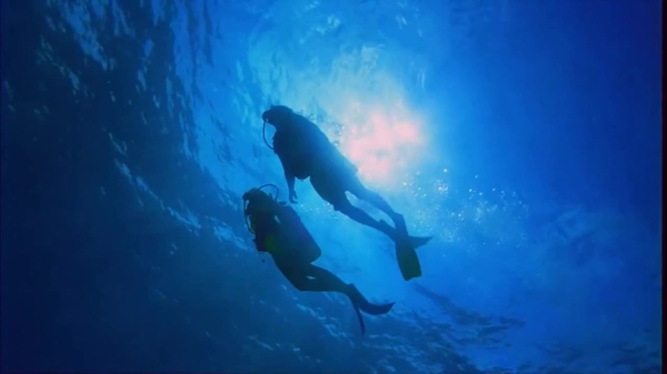 潜水人员的海底世界之旅