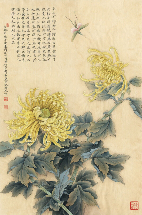 菊花蚱蜢国画