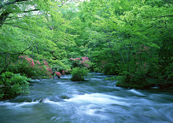 湍急的流水