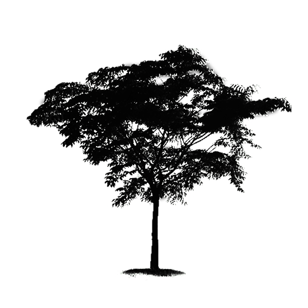 树剪影简约黑白植物