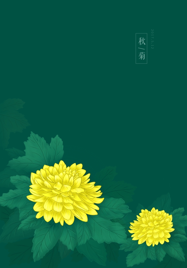 手绘菊花花卉素材背景海报