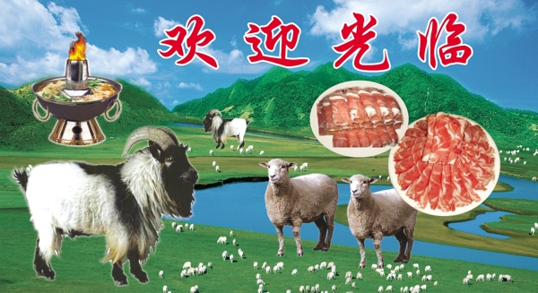 涮羊肉图片