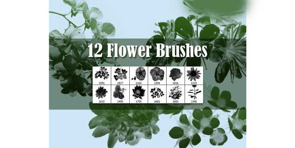 12款超酷的花朵和花枝装饰笔刷