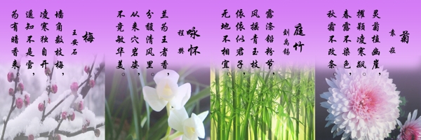 梅兰竹菊图片