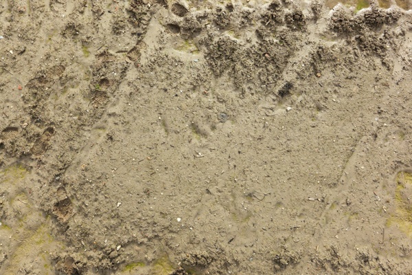 土壤沙子背景图片