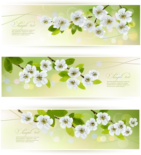 绿叶鲜花背景横幅图片