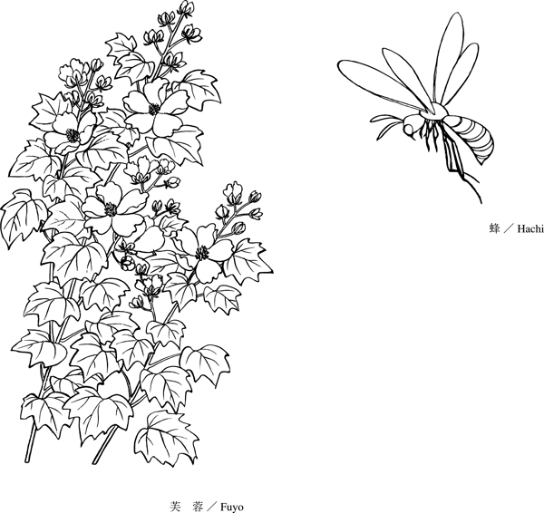 芙蓉花白描