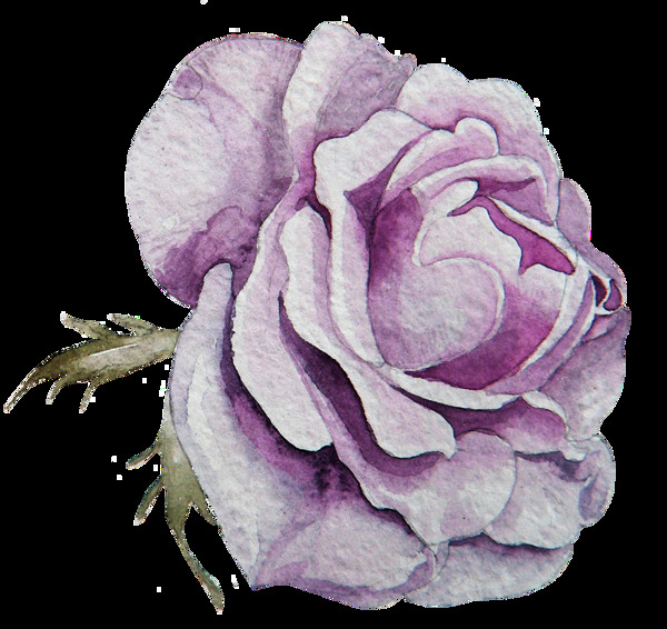 泛紫花叶卡通透明素材