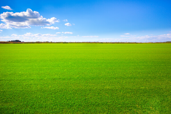 蓝色草地和天空高清摄影