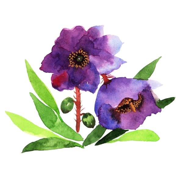 卡通紫色鲜花插画