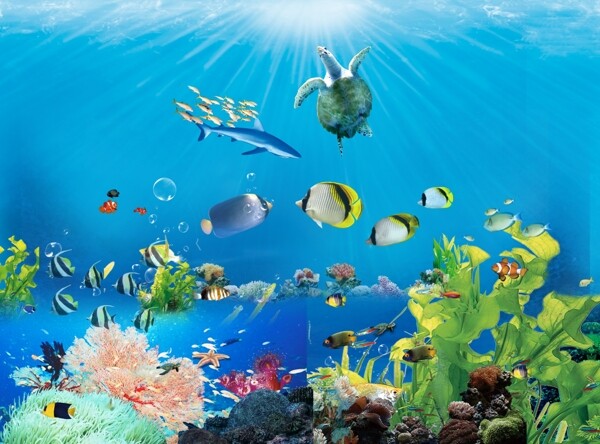 海底世界图片