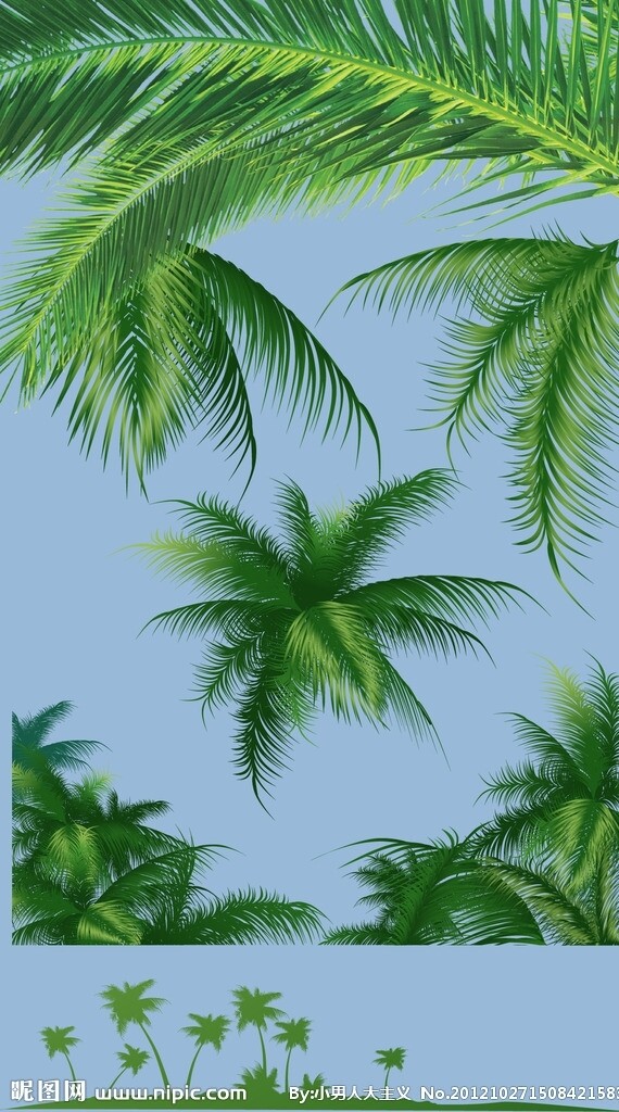 椰子树叶矢量图图片