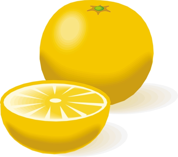 柑橘类水果2