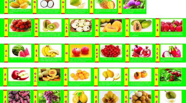水果的营养价值图片