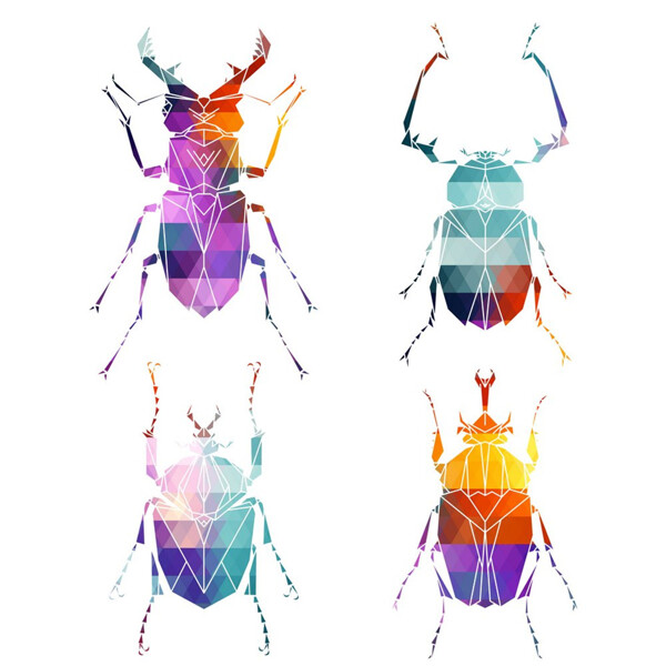 彩色昆虫图片1