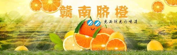 橙子赣南脐橙banner海报图