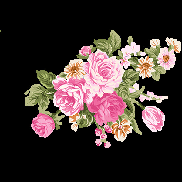 鲜花插画玫瑰高清大图png素材
