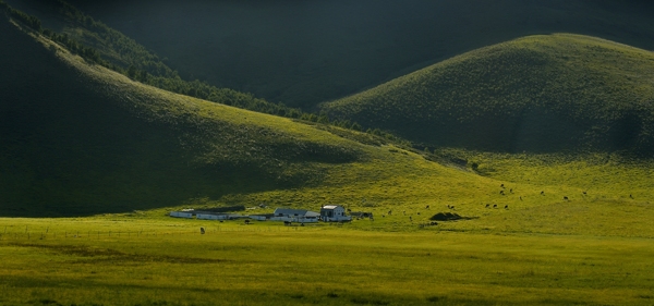 内蒙古科尔沁草原风景