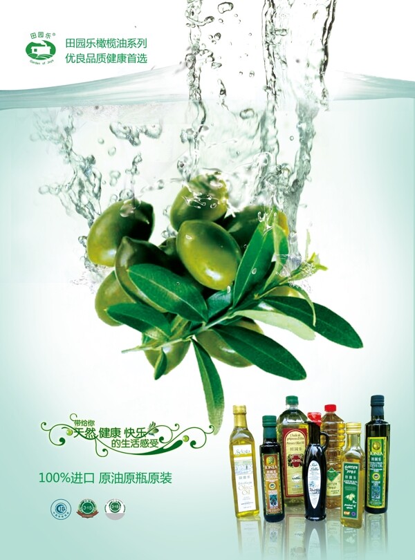 橄榄油食品宣传单页图片
