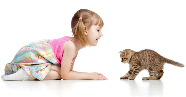 小女孩和猫咪图片