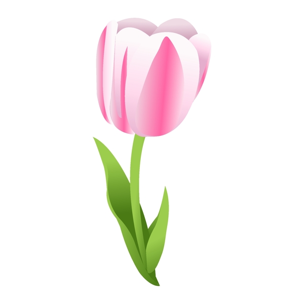 矢量图植物写意花卉花朵郁金香免费素材