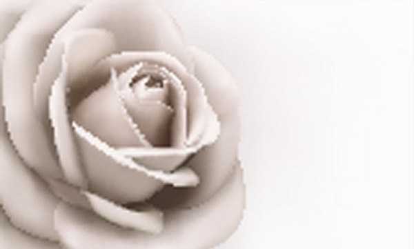 玫瑰花花环装饰图片