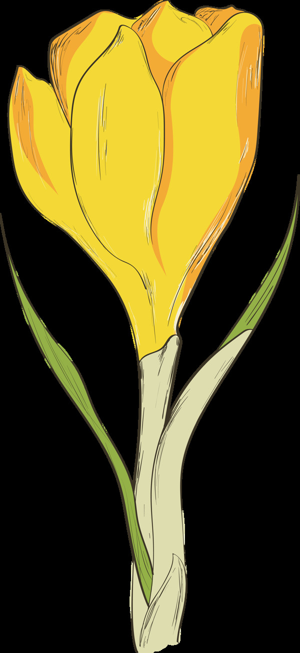 一朵含苞待放的黄色花透明花朵素材