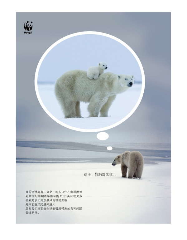 公益广告北极熊图片