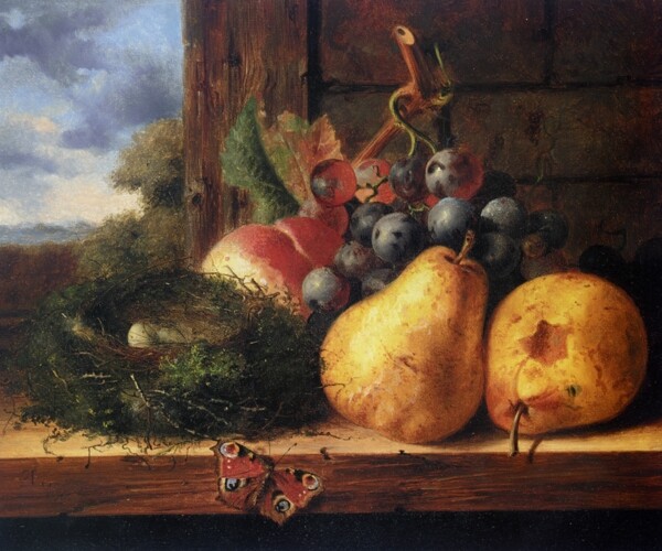 水果和燕窝图片